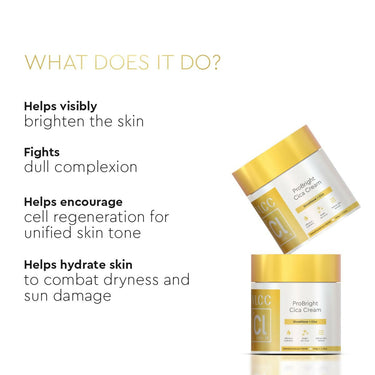 https://cdn.shopify.com/s/files/1/1857/6931/files/vZbL1PHgSF.jpg?v=1719656951